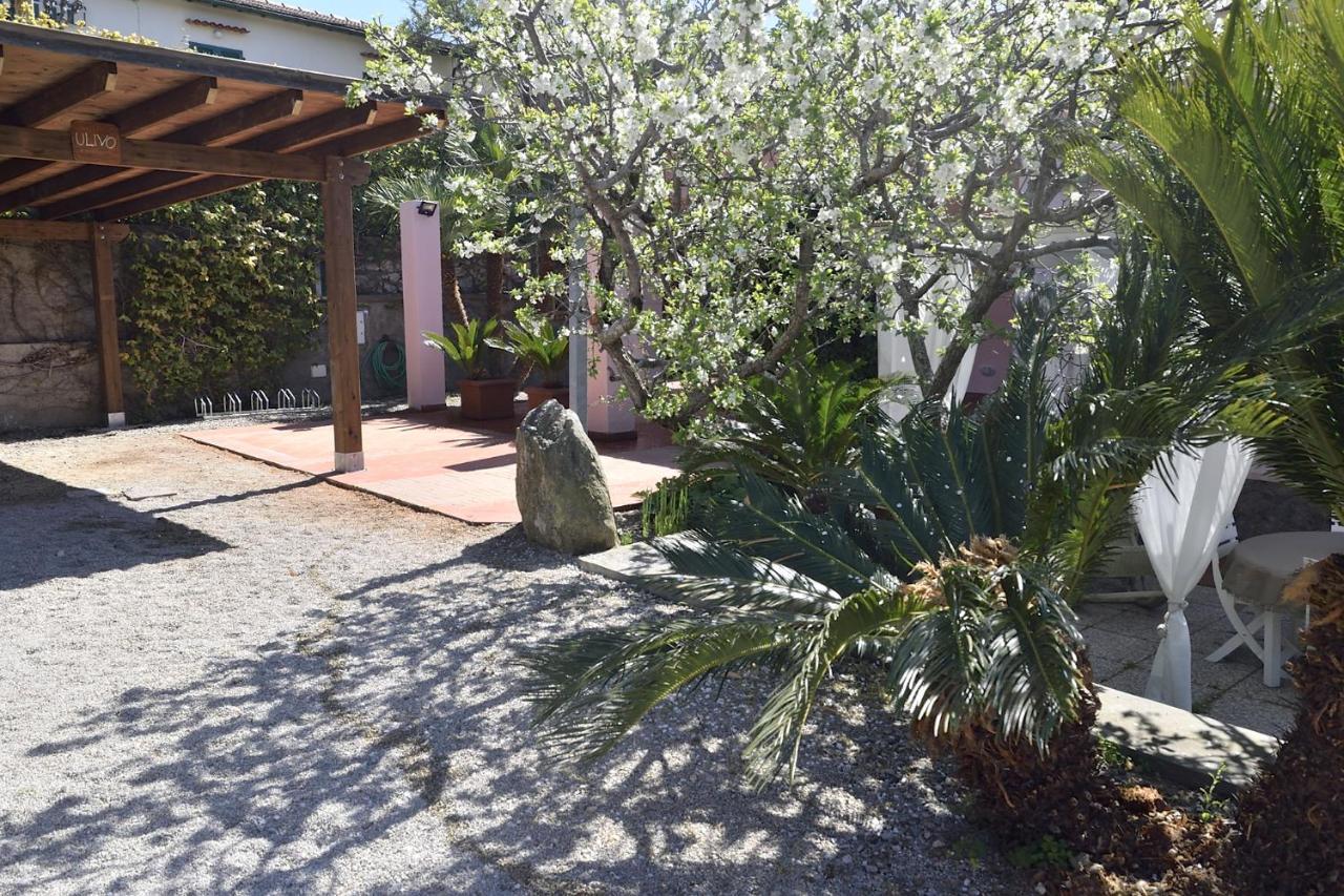 Villa Fiore Apartments Portoferraio Zewnętrze zdjęcie