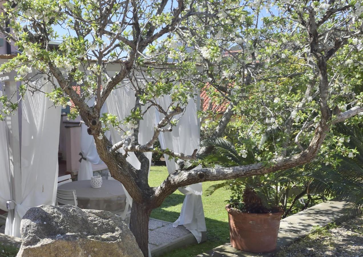 Villa Fiore Apartments Portoferraio Zewnętrze zdjęcie