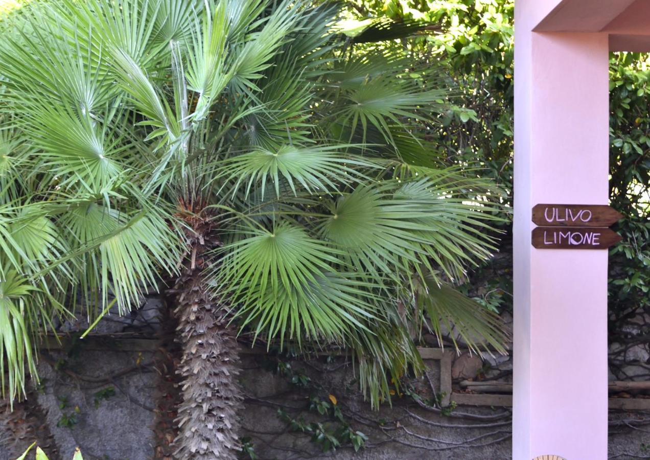 Villa Fiore Apartments Portoferraio Zewnętrze zdjęcie